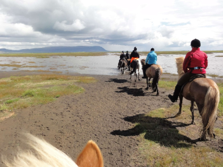 Iceland Horse Riding Tour 